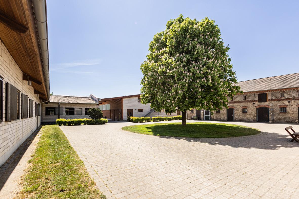 Gepflegter Innenhof mit blühendem Kastanienbaum
