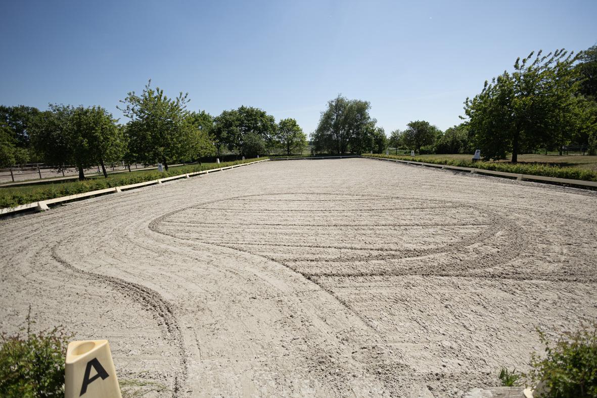 Gepflegter Dressurplatz im Sommer