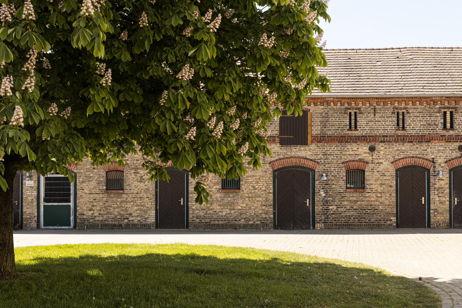 Stallansicht